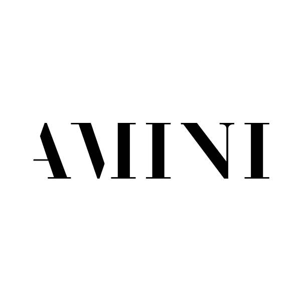 brandlogo amini
